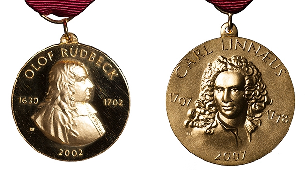Rudbeckmedaljen till vänster utdelas ”för utomordentligt framstående insatser inom vetenskapen". Linnémedaljen till höger delas ut för "utomordentligt framstående vetenskaplig gärning.