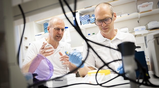 Forskarna Johan Botling och Gilbert Lauter analyserar cancerbiopsier för att hitta varje cancers unika molekylära fingeravtryck.