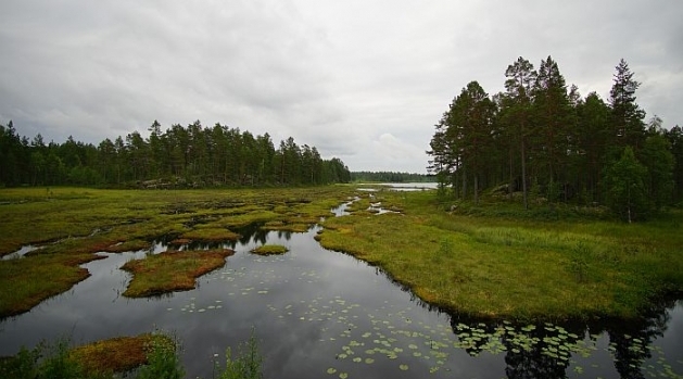 Enligt forskarna Lars Tranvik och Anders Lindroth tas inte växthusgasutsläpp från våtmarker, sjöar och vattendrag med i Sveriges klimatrapportering till FN.
