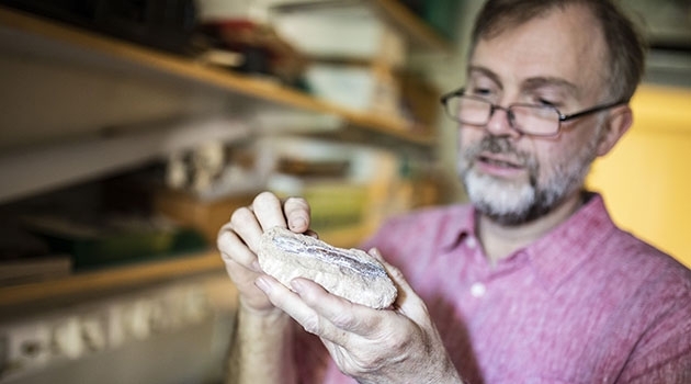 Per Ahlberg forskar om landryggradsdjurens uppkomst. Här med en fossil käke av den kvastfeniga fisken Polyplocodus – sannolikt en nära släkting till de första tetrapoderna.
