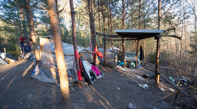 Forskarna fick insikt i de extremt osäkra förhållanden som romska gatuarbetare lever under både i Rumänien och i Sverige. Bilden från 2015 visar ett tältläger i skogen i Bålsta utanför Stockholm.