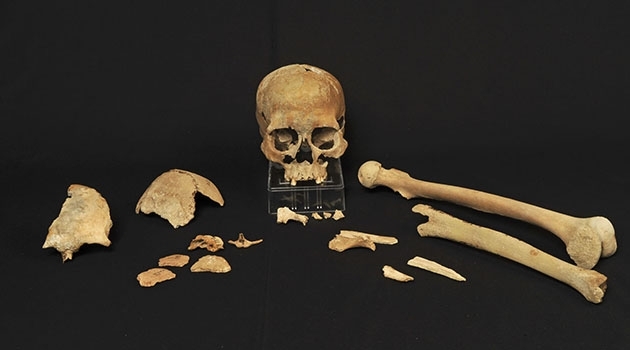 Skelettdelarna funna i Hummervikholmen i Vest-Agder 1994 visade sig vid en datering vara de äldsta  som återfunnits i Norge.