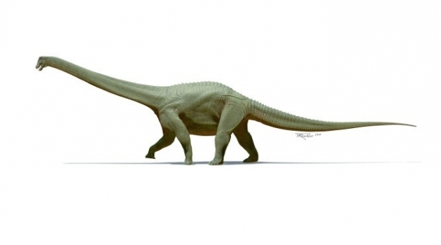 Upptäckten av Diamantinasaurus matildae har hjälpt forskarna att visa att titanosauriderna fanns över hela världen för 100 miljoner år sedan.