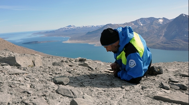 Grzegorz Niedzwiedzki letar fossil på Grönland.