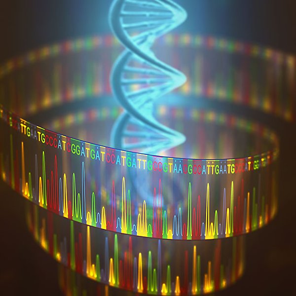 Illustration av en DNA-kodsekvens och typningsmarkörer.