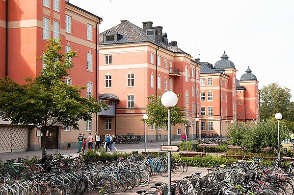 The old barracks buildings on Polacksbacken. Bicycles are parked outside. Students in overalls stand in a cluster and talk.