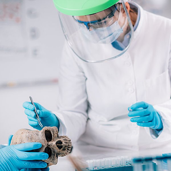 En person i labbmiljö bär skyddskläder, visir och handskar tar prov på en skalle.