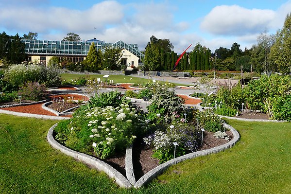 Odlingar i botaniska trädgården med tropiska växthuset i bakgrunden